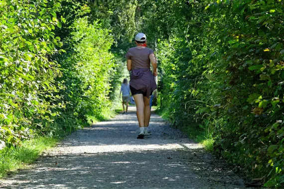 Longevity, Cardiovascular Durability Improve With Just 1 Or 2 Walks Per Week